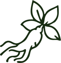 GINSENG PANAX